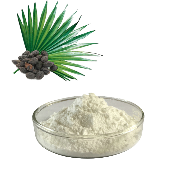 Што е екстракт од Saw Palmetto? И, што е придобивка од Saw Palmetto Extract?